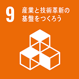 sdg_icon_09